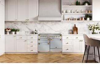 Falcon Elise Luxe 110 Induction in Stainless Steel with Antique Brass trim